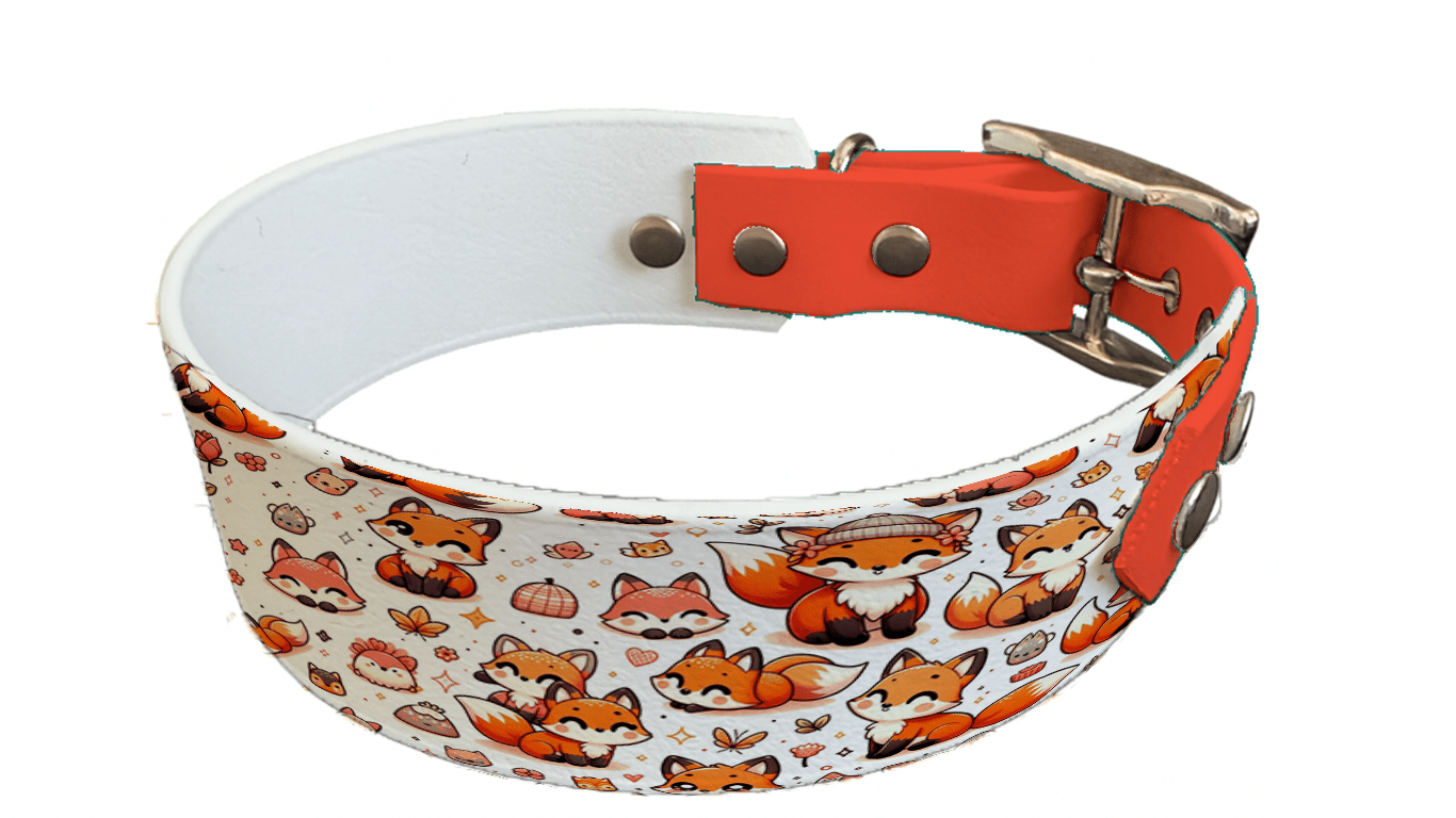 L'atelier du Fourmilier collier bicolore 120 Collier bicolore large pour chien en BioThane® imprimé – Collection animaux pop/kawaii – 38/25 mm