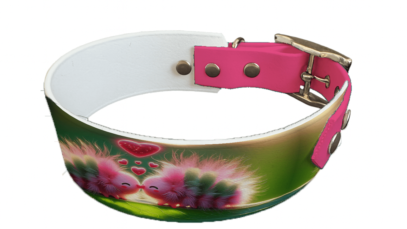 L'atelier du Fourmilier collier bicolore 125 Collier bicolore large pour chien en BioThane® imprimé – Collection insectes– 38/25 mm