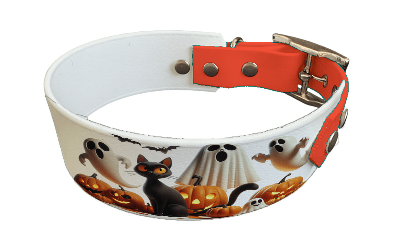 L'atelier du Fourmilier collier bicolore 132 Collier bicolore large pour chien en BioThane® imprimé – Collection Halloween– 38/25 mm