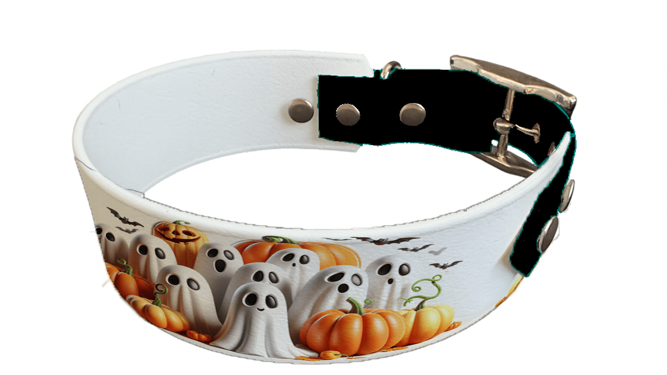 L'atelier du Fourmilier collier bicolore 133 Collier bicolore large pour chien en BioThane® imprimé – Collection Halloween– 38/25 mm