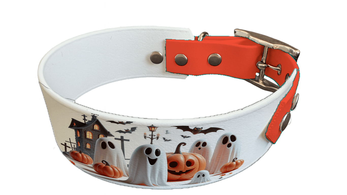 L'atelier du Fourmilier collier bicolore 136 Collier bicolore large pour chien en BioThane® imprimé – Collection Halloween– 38/25 mm