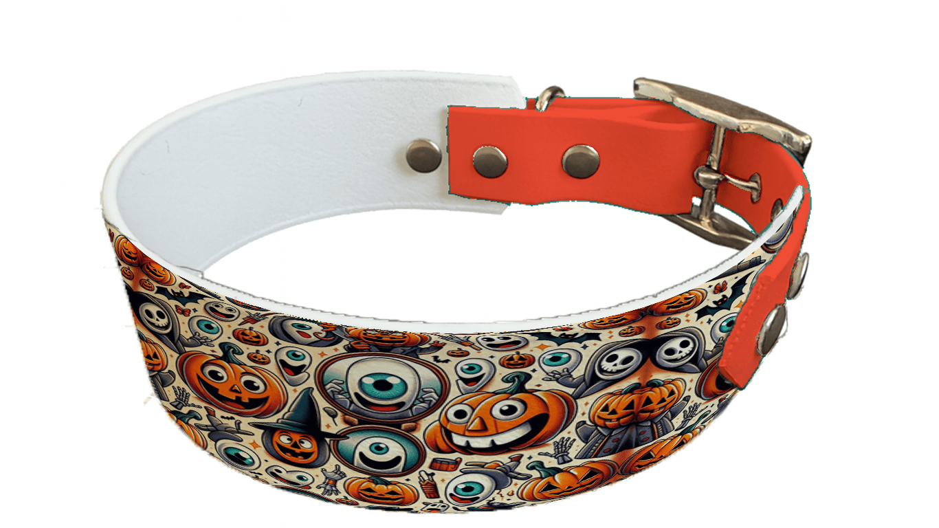 L'atelier du Fourmilier collier bicolore 139 Collier bicolore large pour chien en BioThane® imprimé – Collection Halloween– 38/25 mm
