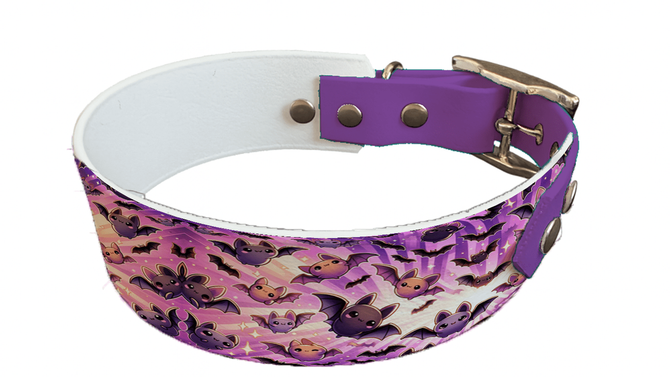 L'atelier du Fourmilier collier bicolore 141 Collier bicolore large pour chien en BioThane® imprimé – Collection Halloween– 38/25 mm