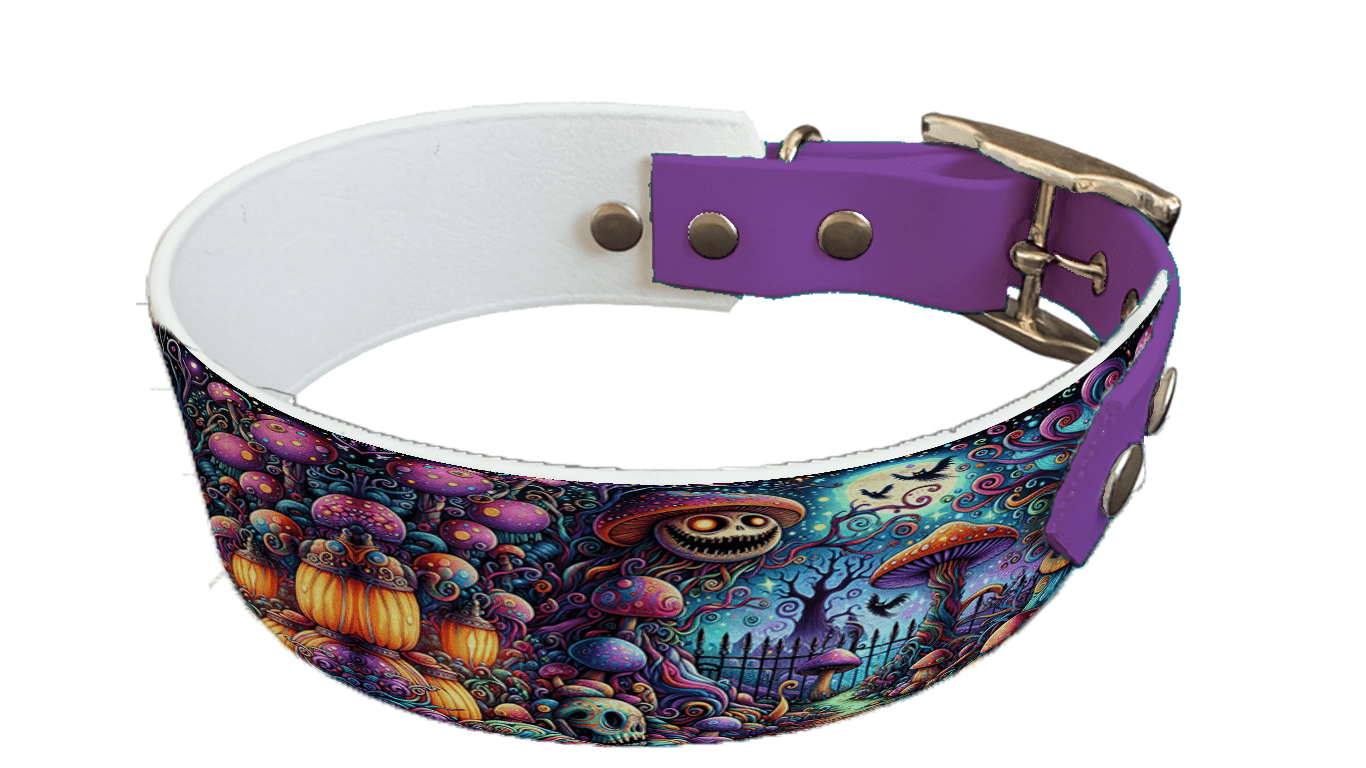 L'atelier du Fourmilier collier bicolore 142 Collier bicolore large pour chien en BioThane® imprimé – Collection Halloween– 38/25 mm