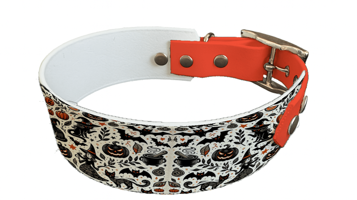 L'atelier du Fourmilier collier bicolore 144 Collier bicolore large pour chien en BioThane® imprimé – Collection Halloween– 38/25 mm