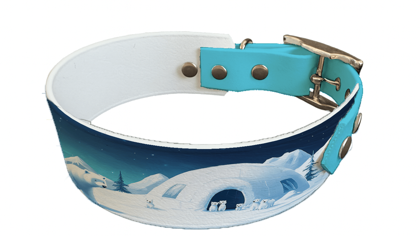 L'atelier du Fourmilier collier bicolore 176 Collier bicolore large pour chien en BioThane® imprimé – Collection animaux sauvages– 38/25 mm