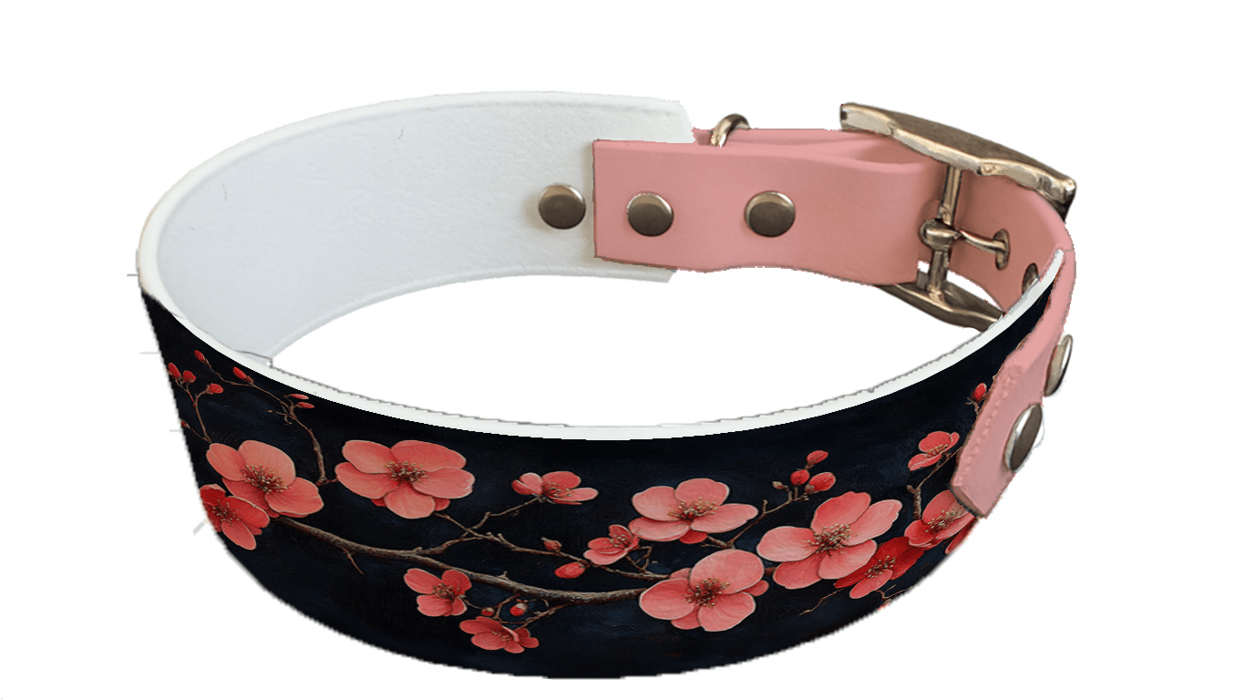 L'atelier du Fourmilier collier bicolore 178 Collier bicolore large pour chien en BioThane® imprimé – Collection plantes et fleurs – 38/25 mm