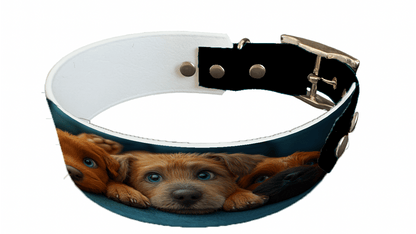 L'atelier du Fourmilier collier bicolore 182 Collier bicolore large pour chien en BioThane® imprimé – Collection chiens– 38/25 mm