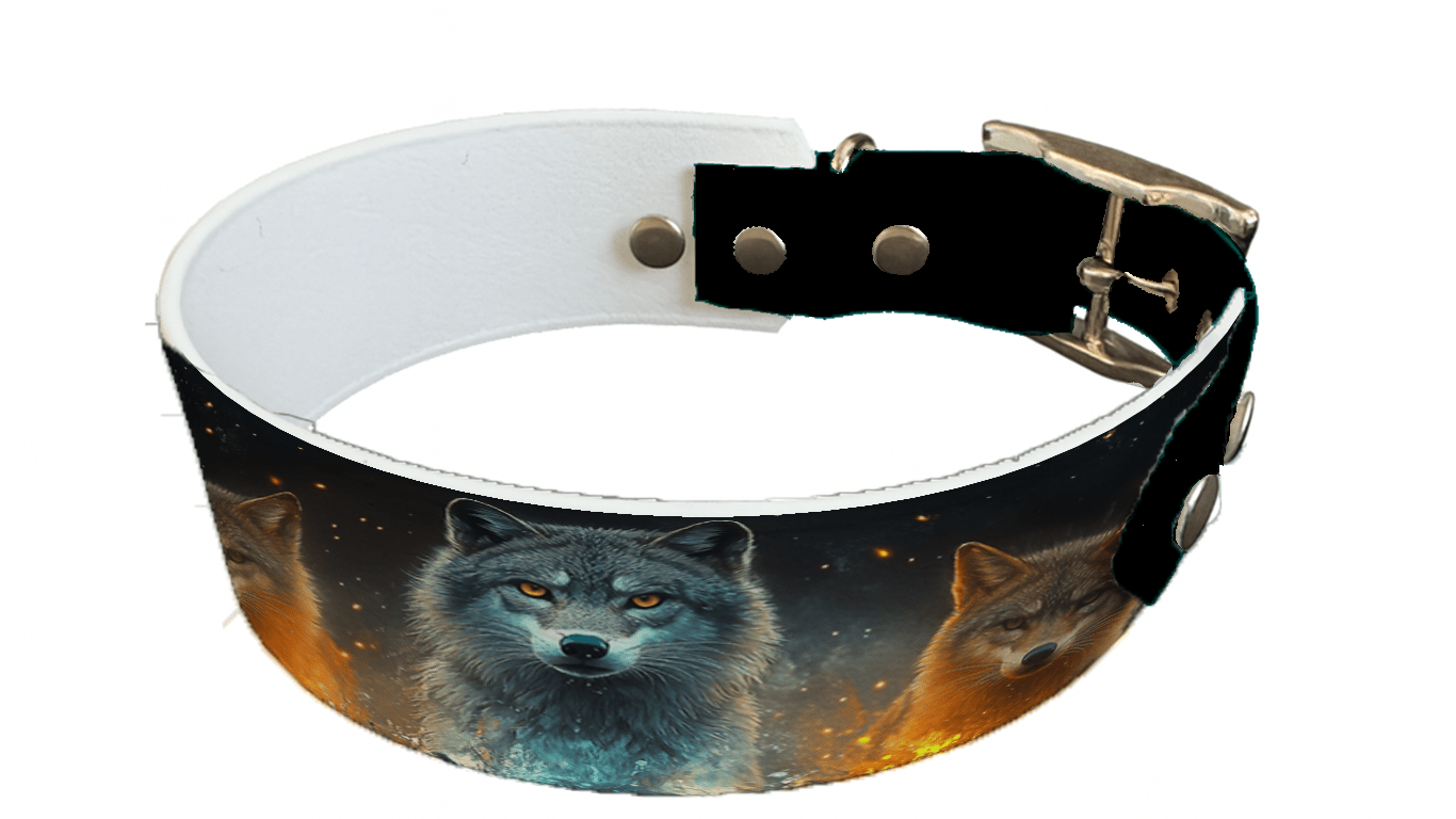 L'atelier du Fourmilier collier bicolore 193 Collier bicolore large pour chien en BioThane® imprimé – Collection chiens– 38/25 mm