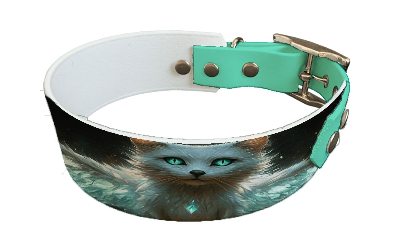 L'atelier du Fourmilier collier bicolore 198 Collier bicolore large pour chien en BioThane® imprimé – Collection monstres et créatures imaginaires– 38/25 mm