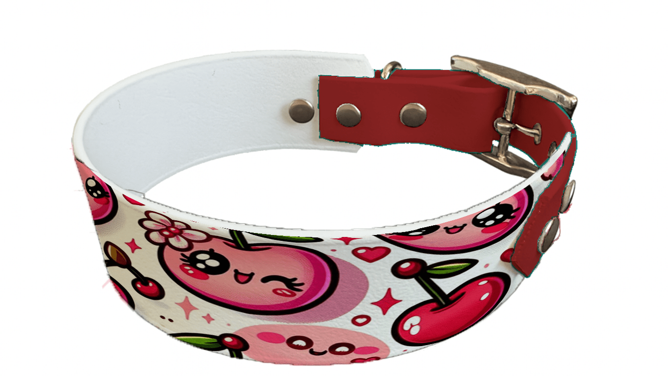 L'atelier du Fourmilier collier bicolore 20 Collier bicolore large pour chien en BioThane® imprimé – Collection gourmandise – 38/25 mm