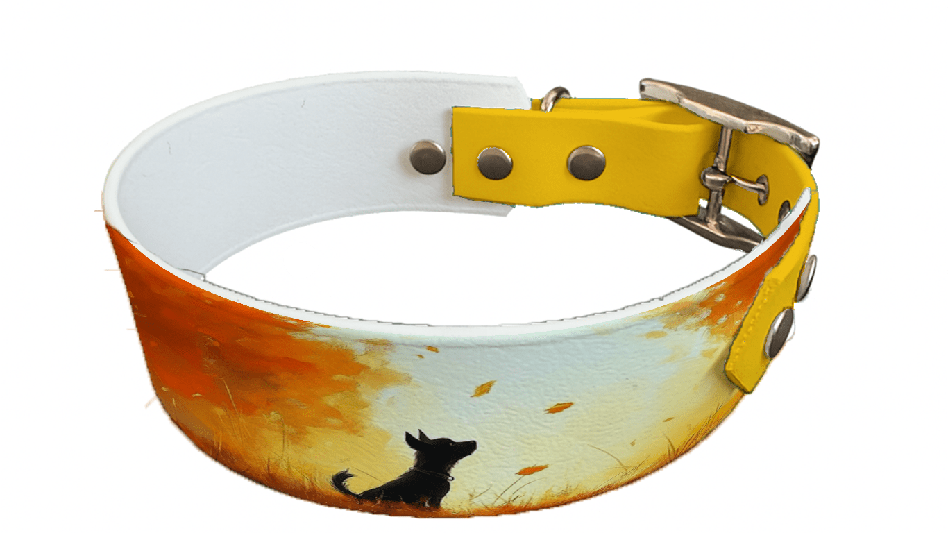 L'atelier du Fourmilier collier bicolore 201 Collier bicolore large pour chien en BioThane® imprimé – Collection chiens– 38/25 mm