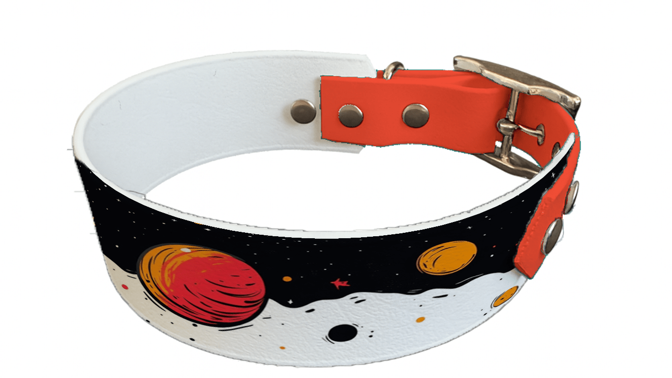 L'atelier du Fourmilier collier bicolore 202 Collier bicolore large pour chien en BioThane® imprimé – Collection galaxie – 38/25 mm