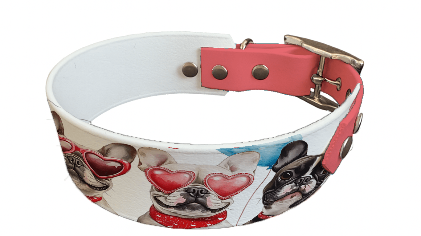 L'atelier du Fourmilier collier bicolore 207 Collier bicolore large pour chien en BioThane® imprimé – Collection chiens– 38/25 mm