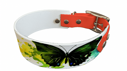 L'atelier du Fourmilier collier bicolore 213 Collier bicolore large pour chien en BioThane® imprimé – Collection insectes– 38/25 mm