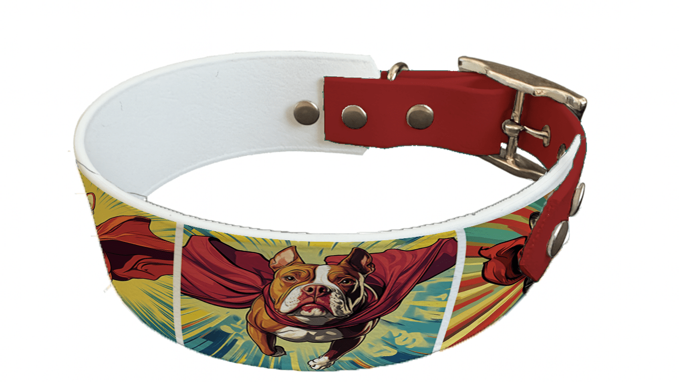 L'atelier du Fourmilier collier bicolore 214 Collier bicolore large pour chien en BioThane® imprimé – Collection chiens– 38/25 mm