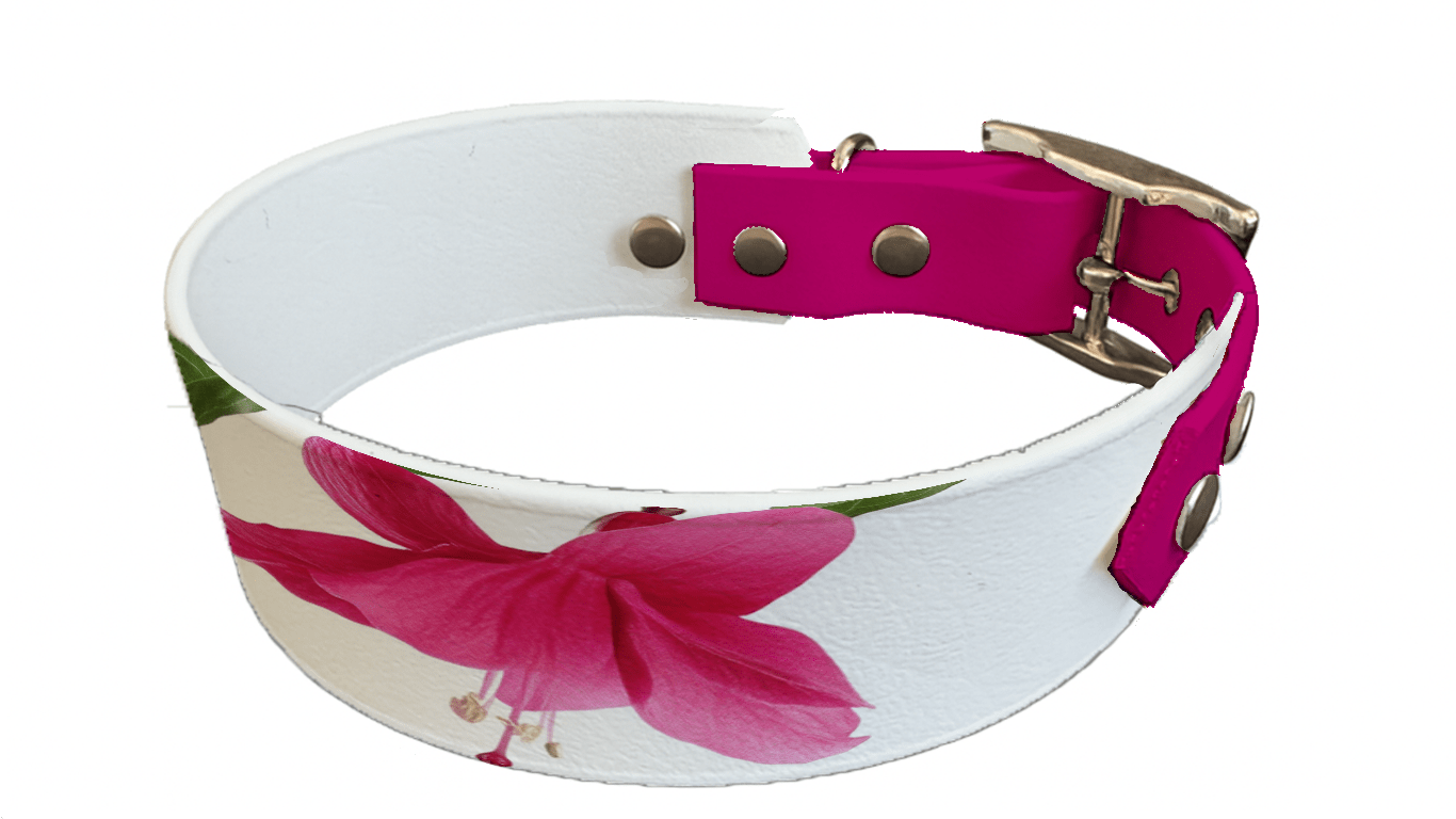 L'atelier du Fourmilier collier bicolore 218 Collier bicolore large pour chien en BioThane® imprimé – Collection plantes et fleurs – 38/25 mm