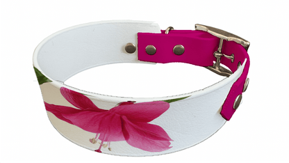 L'atelier du Fourmilier collier bicolore 218 Collier bicolore large pour chien en BioThane® imprimé – Collection plantes et fleurs – 38/25 mm