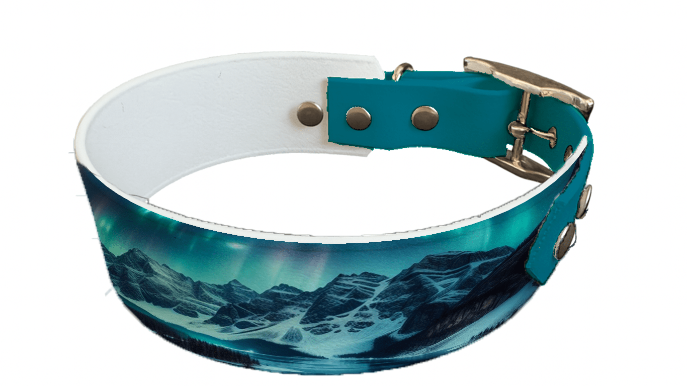 L'atelier du Fourmilier collier bicolore 22 Collier bicolore large pour chien en BioThane® imprimé – Collection paysage– 38/25 mm