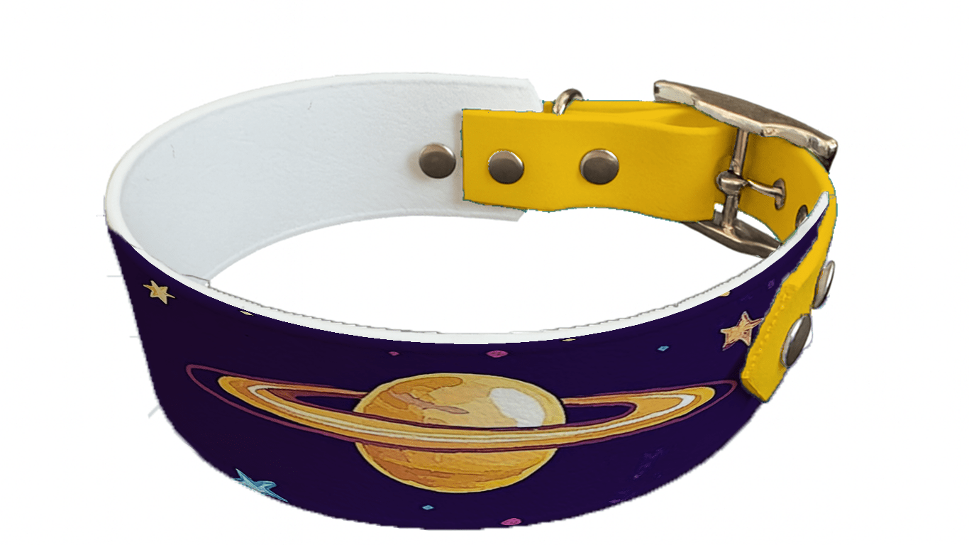 L'atelier du Fourmilier collier bicolore 224 Collier bicolore large pour chien en BioThane® imprimé – Collection galaxie – 38/25 mm