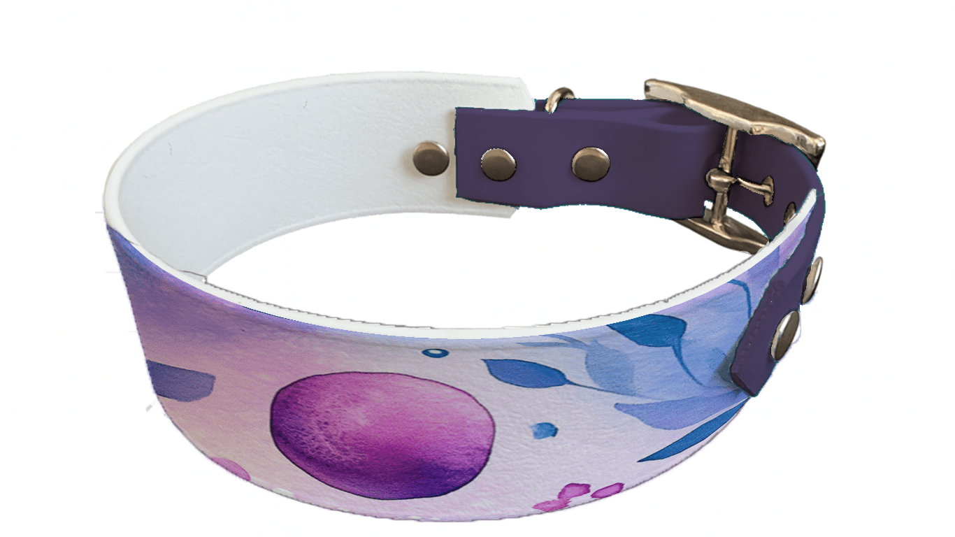 L'atelier du Fourmilier collier bicolore 225 Collier bicolore large pour chien en BioThane® imprimé – Collection galaxie – 38/25 mm