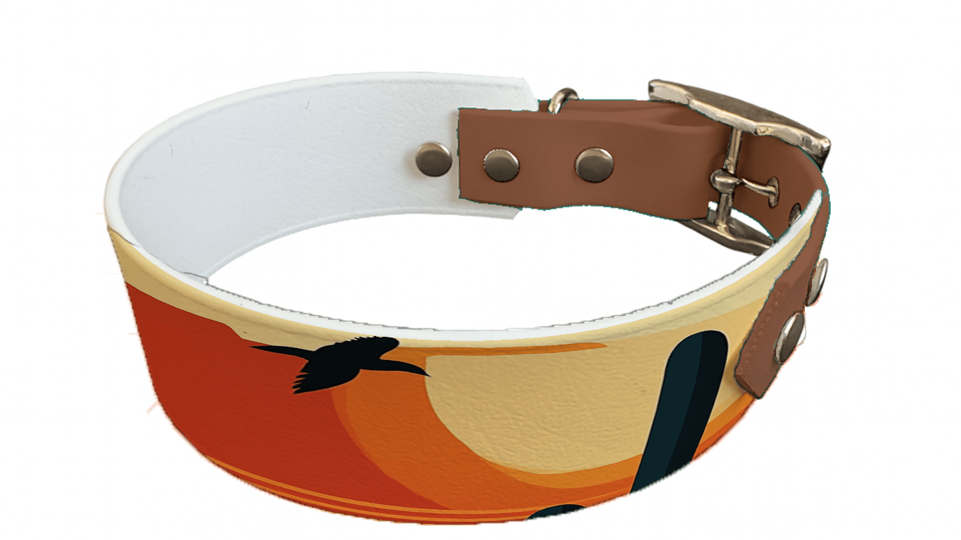 L'atelier du Fourmilier collier bicolore 226 Collier bicolore large pour chien en BioThane® imprimé – Collection paysage– 38/25 mm