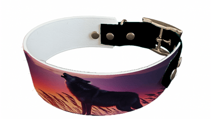 L'atelier du Fourmilier collier bicolore 23 Collier bicolore large pour chien en BioThane® imprimé – Collection chiens– 38/25 mm