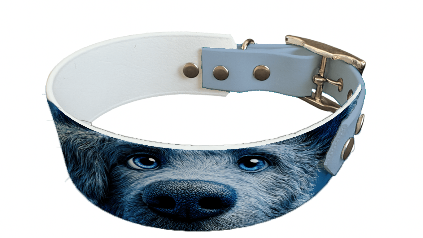 L'atelier du Fourmilier collier bicolore 232 Collier bicolore large pour chien en BioThane® imprimé – Collection chiens– 38/25 mm