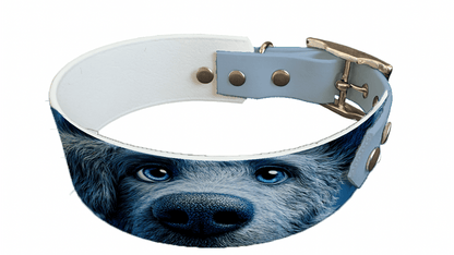L'atelier du Fourmilier collier bicolore 232 Collier bicolore large pour chien en BioThane® imprimé – Collection chiens– 38/25 mm
