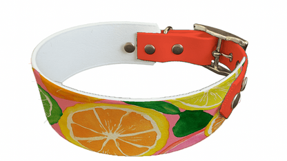 L'atelier du Fourmilier collier bicolore 234 Collier bicolore large pour chien en BioThane® imprimé – Collection gourmandise – 38/25 mm