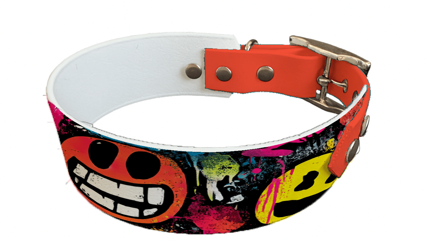 L'atelier du Fourmilier collier bicolore 238 Collier bicolore large pour chien en BioThane® imprimé – Collection pop art– 38/25 mm