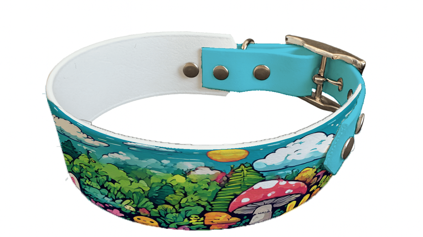 L'atelier du Fourmilier collier bicolore 239 Collier bicolore large pour chien en BioThane® imprimé – Collection forêt enchantée – 38/25 mm