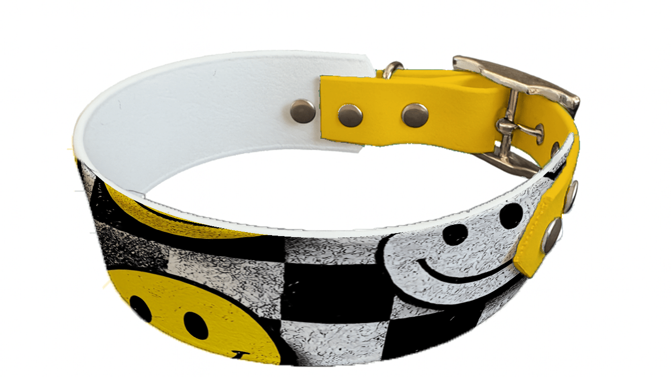 L'atelier du Fourmilier collier bicolore 247 Collier bicolore large pour chien en BioThane® imprimé – Collection pop art– 38/25 mm