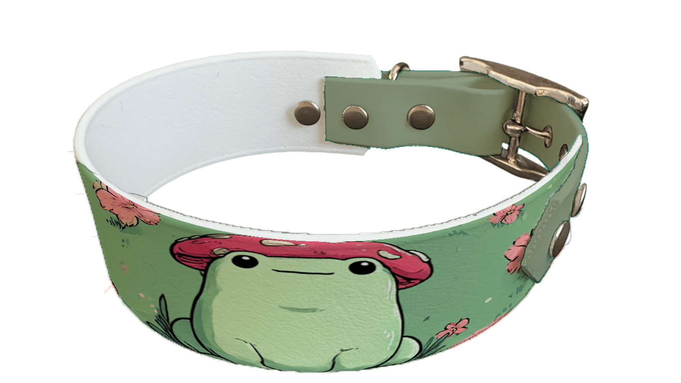 L'atelier du Fourmilier collier bicolore 248 Collier bicolore large pour chien en BioThane® imprimé – Collection monstres et créatures imaginaires– 38/25 mm