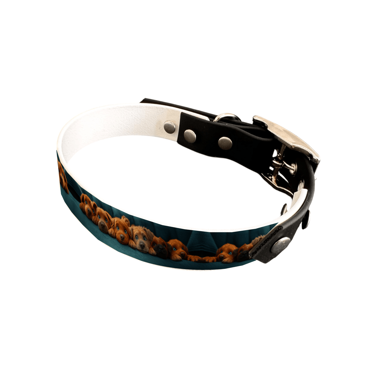 L'atelier du Fourmilier collier bicolore 25 182 Collier bicolore large pour chien en BioThane® imprimé – Collection chiens– 25 mm