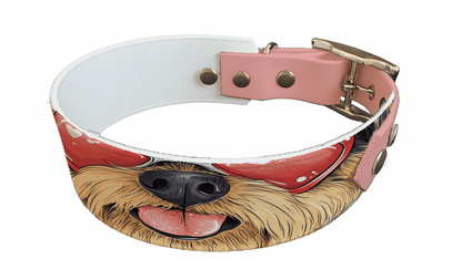 L'atelier du Fourmilier collier bicolore 254 Collier bicolore large pour chien en BioThane® imprimé – Collection chiens– 38/25 mm