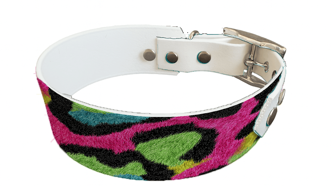 L'atelier du Fourmilier collier bicolore 259 Collier bicolore large pour chien en BioThane® imprimé – Collection fourrures et pelages – 38/25 mm
