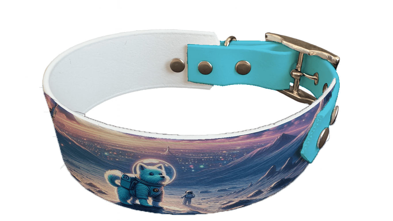 L'atelier du Fourmilier collier bicolore 26 Collier bicolore large pour chien en BioThane® imprimé – Collection chiens– 38/25 mm