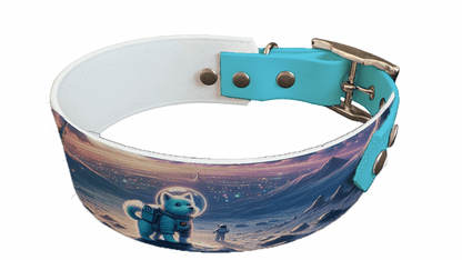 L'atelier du Fourmilier collier bicolore 26 Collier bicolore large pour chien en BioThane® imprimé – Collection chiens– 38/25 mm