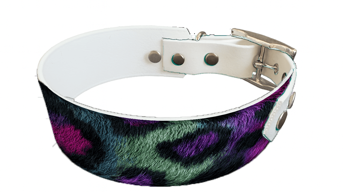 L'atelier du Fourmilier collier bicolore 263 Collier bicolore large pour chien en BioThane® imprimé – Collection fourrures et pelages – 38/25 mm