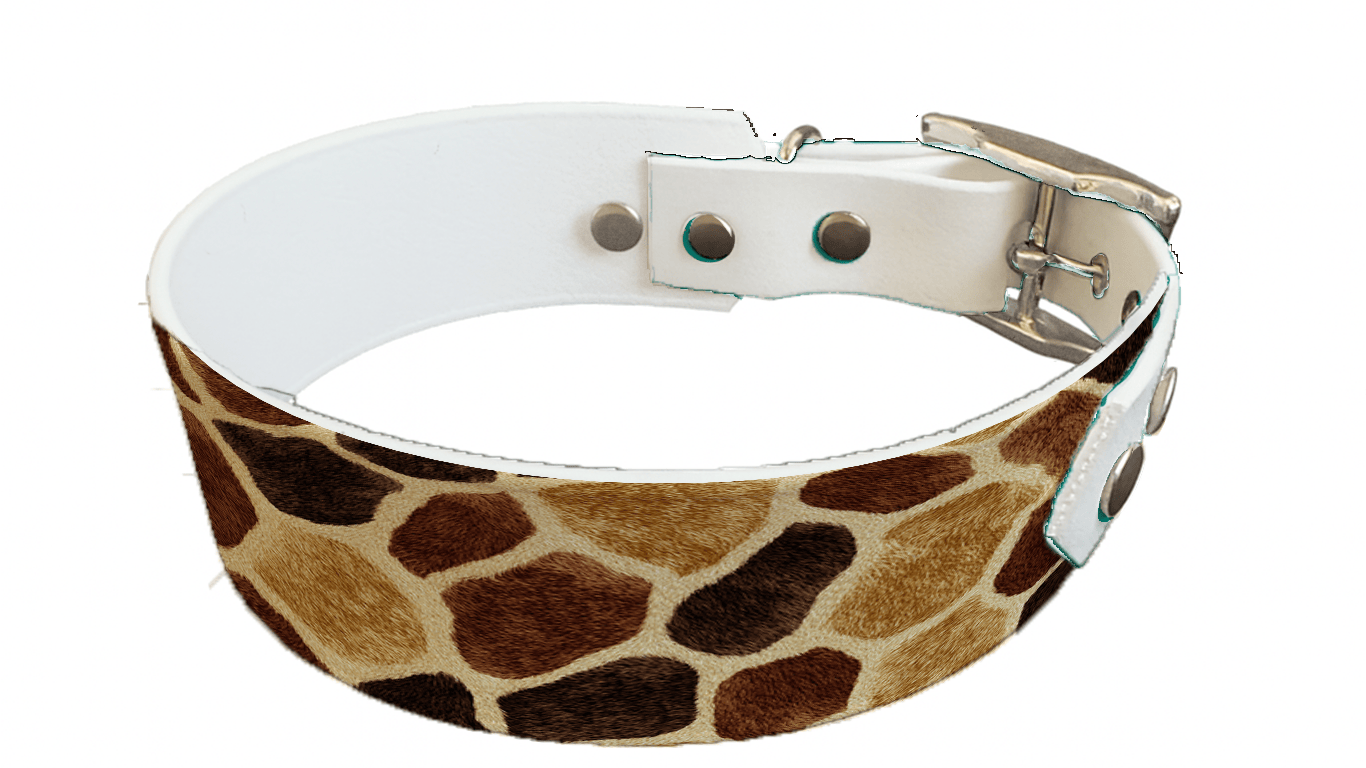 L'atelier du Fourmilier collier bicolore 269 Collier bicolore large pour chien en BioThane® imprimé – Collection fourrures et pelages – 38/25 mm