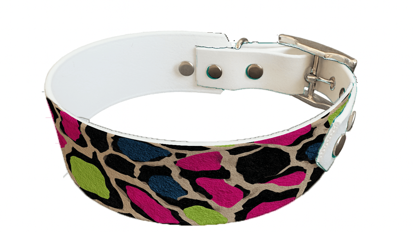 L'atelier du Fourmilier collier bicolore 270 Collier bicolore large pour chien en BioThane® imprimé – Collection fourrures et pelages – 38/25 mm