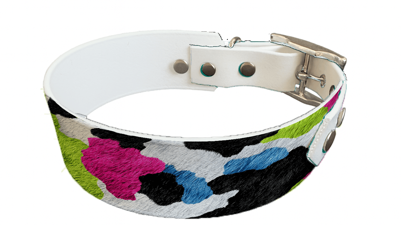 L'atelier du Fourmilier collier bicolore 272 Collier bicolore large pour chien en BioThane® imprimé – Collection fourrures et pelages – 38/25 mm