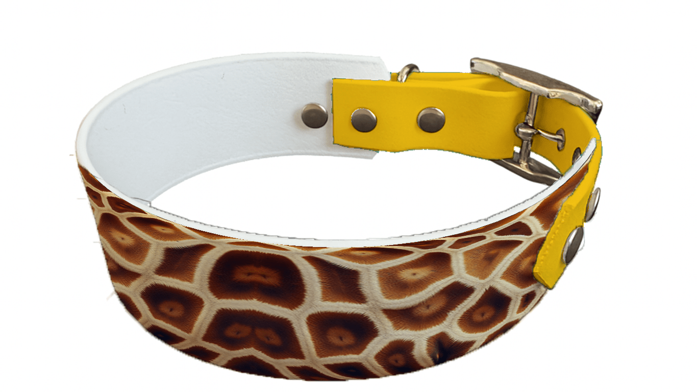 L'atelier du Fourmilier collier bicolore 32 Collier bicolore large pour chien en BioThane® imprimé – Collection fourrures et pelages – 38/25 mm