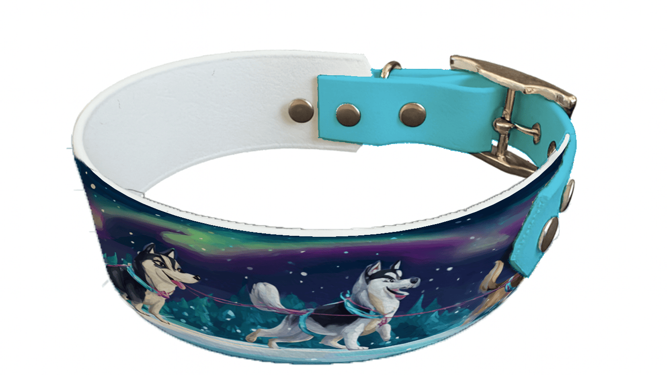 L'atelier du Fourmilier collier bicolore 326 Collier bicolore large pour chien en BioThane® imprimé – Collection hiver et Noël– 38/25 mm