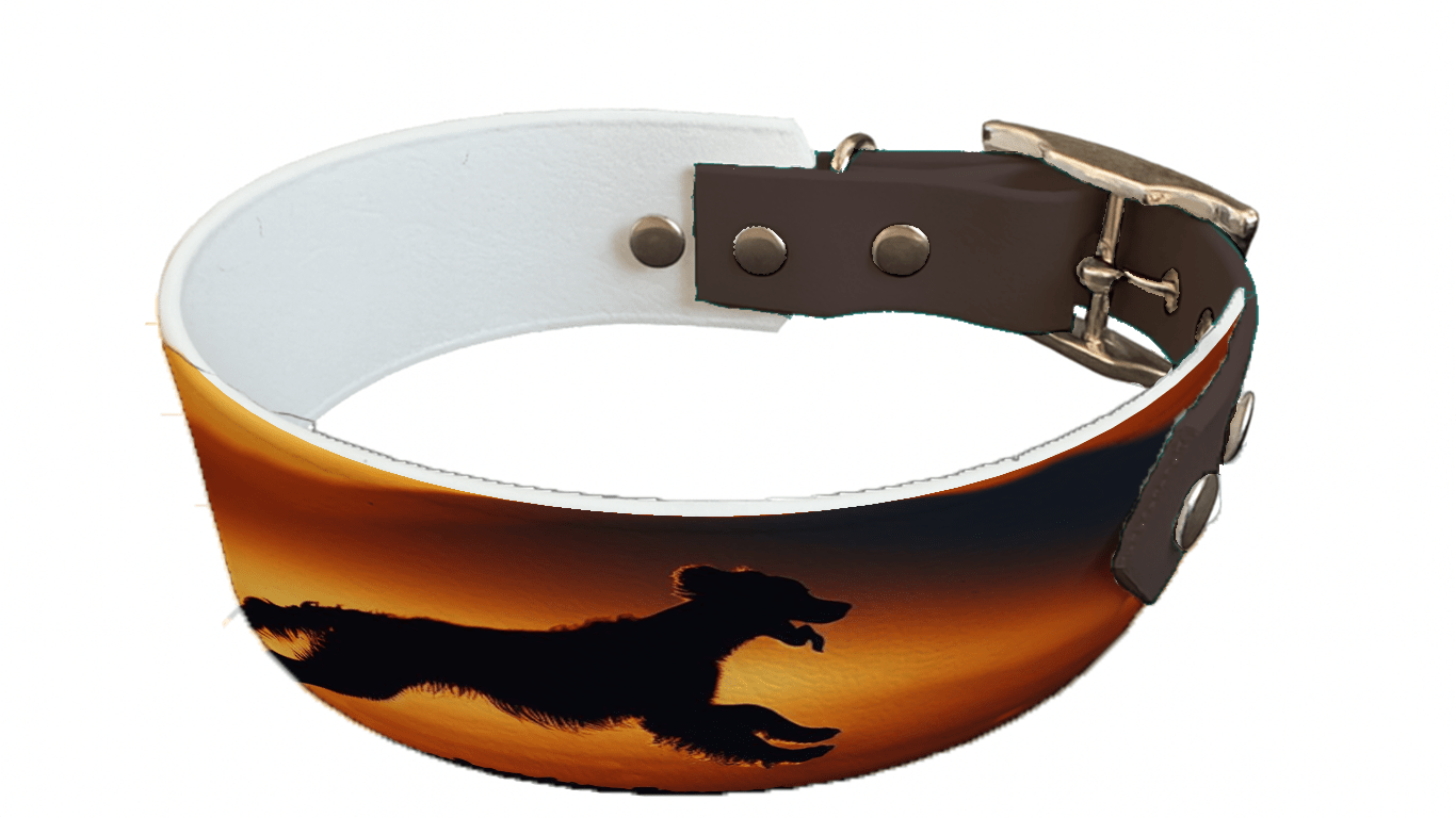 L'atelier du Fourmilier collier bicolore 33 Collier bicolore large pour chien en BioThane® imprimé – Collection chiens– 38/25 mm