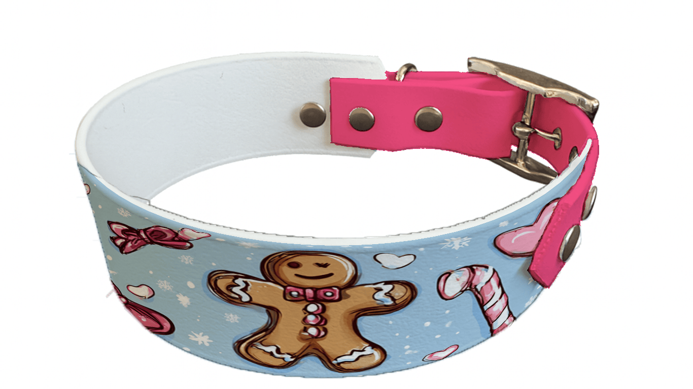 L'atelier du Fourmilier collier bicolore 334 Collier bicolore large pour chien en BioThane® imprimé – Collection hiver et Noël– 38/25 mm