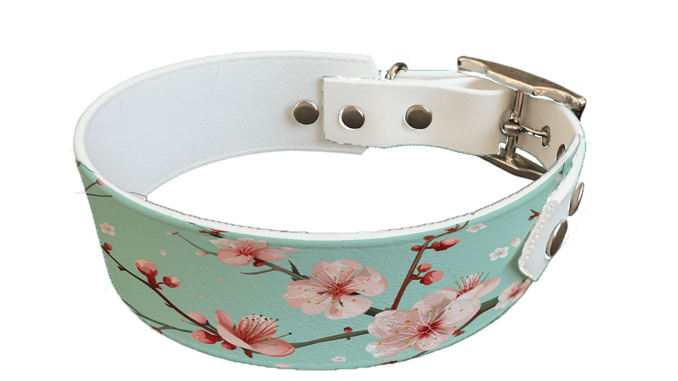 L'atelier du Fourmilier collier bicolore 343 Collier bicolore large pour chien en BioThane® imprimé – Collection plantes et fleurs – 38/25 mm