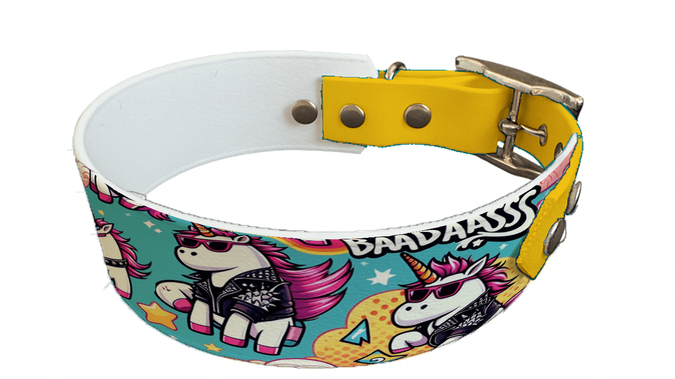 L'atelier du Fourmilier collier bicolore 36 Collier bicolore large pour chien en BioThane® imprimé – Collection monstres et créatures imaginaires– 38/25 mm