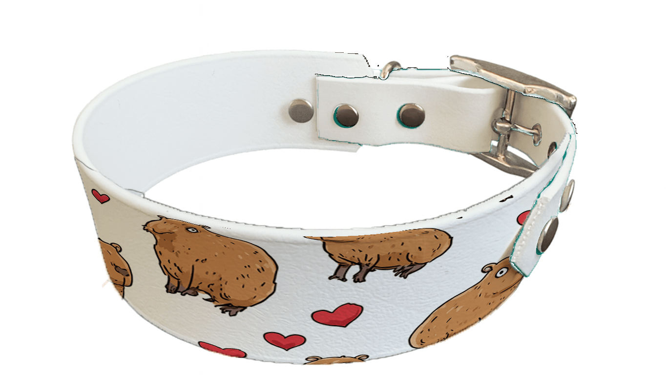 L'atelier du Fourmilier collier bicolore 360 Collier bicolore large pour chien en BioThane® imprimé – Collection Saint valentin– 38/25 mm